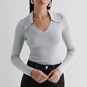 Express Light Gray V-Neck Long Sleeve Top with Pointed Collar